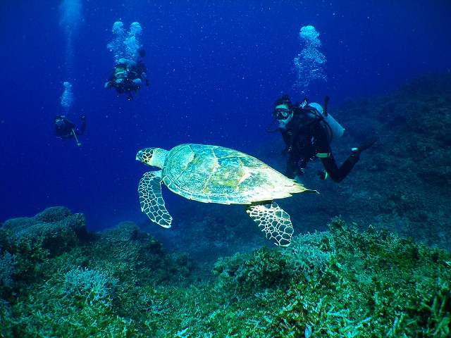 U-NEO ���ޥ�