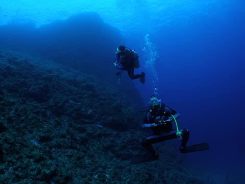 U-NEO ���ޥ�