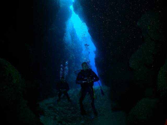 U-NEO ���ޥ�