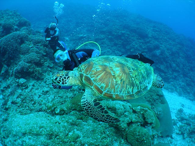 U-NEO ���ޥ�