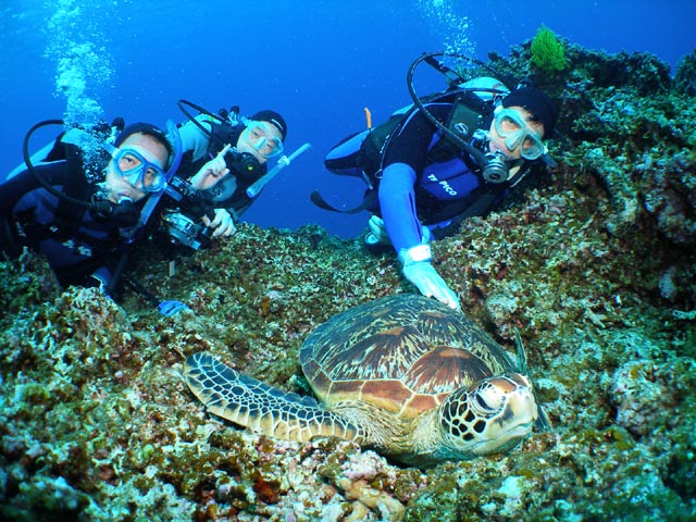 U-NEO ���ޥ�