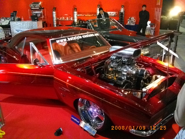 ����������������ȥ�������